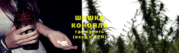 гидра Костерёво