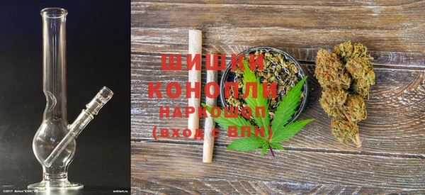 гидра Костерёво