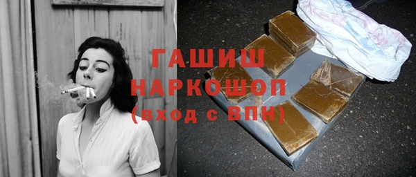 гидра Костерёво